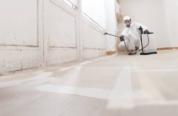 24/7 Emergency Mold Testing experts in Quincy, IL