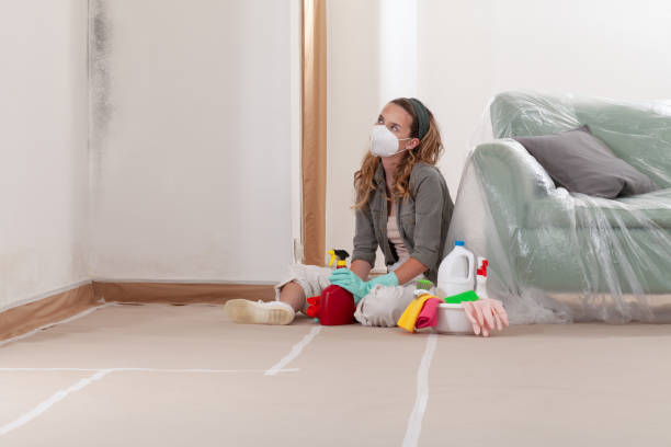 Reliable Mold Testing contractor in Quincy, IL by WQB Mold Removal